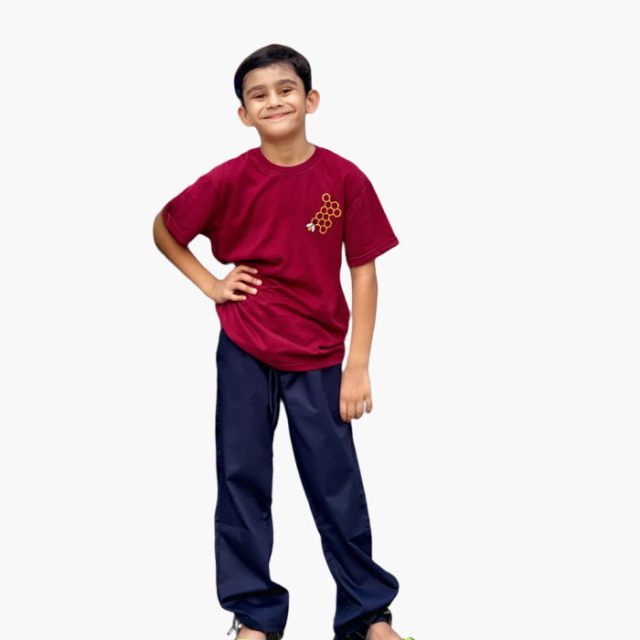 HONEY BEE EMBROIDERED MAROON BOYS T-SHIRT