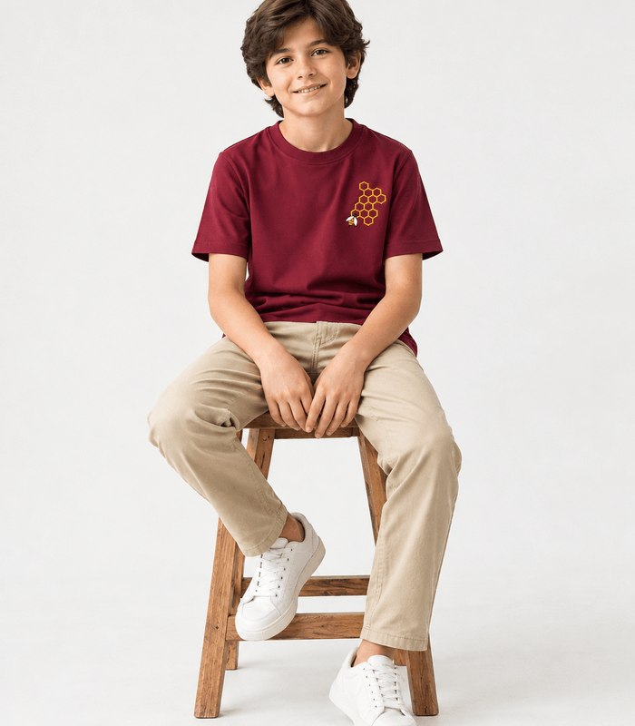 IMG_7898 Maroon Honeybee & Honeycomb Embroidered T Shirt for Boys - Image 1
